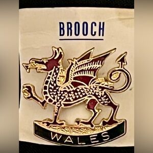 Wales Welsh Fire Breathing Dragon Vintage Brooch Pin On Original Card Display